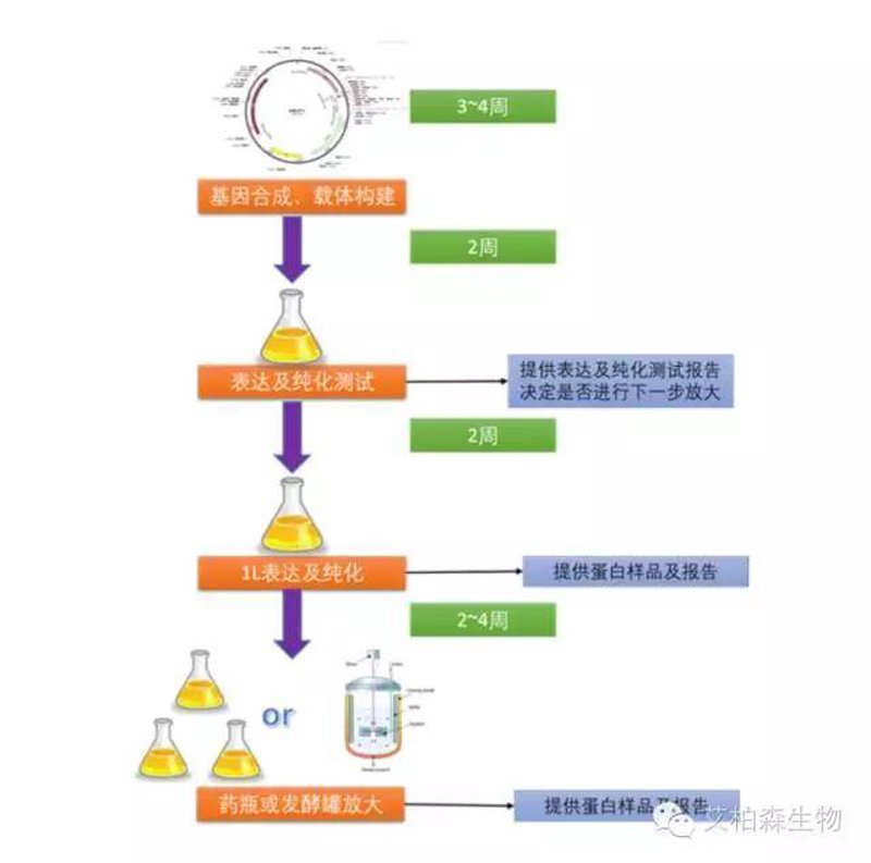 检验检疫技术中心改革：未来在哪里？